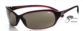Get in Gear:  Bolle Sport Sunglasses